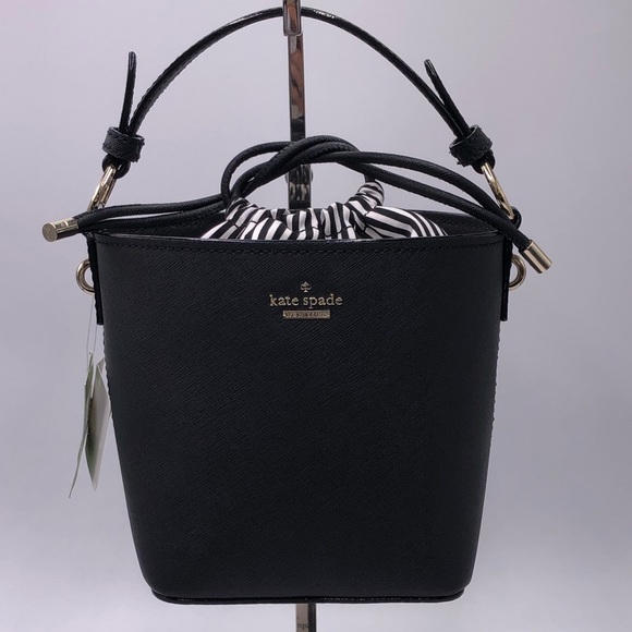 cameron street pippa